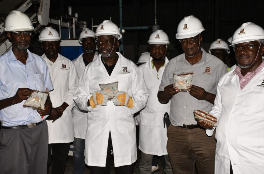  Sugarcane Market Shifts as Kenya Implements Strategic Pricing Reforms