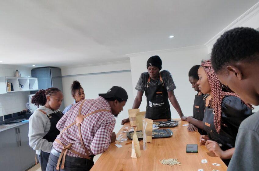  How China’s Coffee Appetite is Brewing New Opportunities for Kenyan Farmers