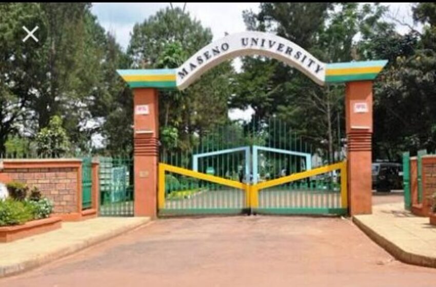  Why Maseno University Graduates are Facing Professional Deadlocks