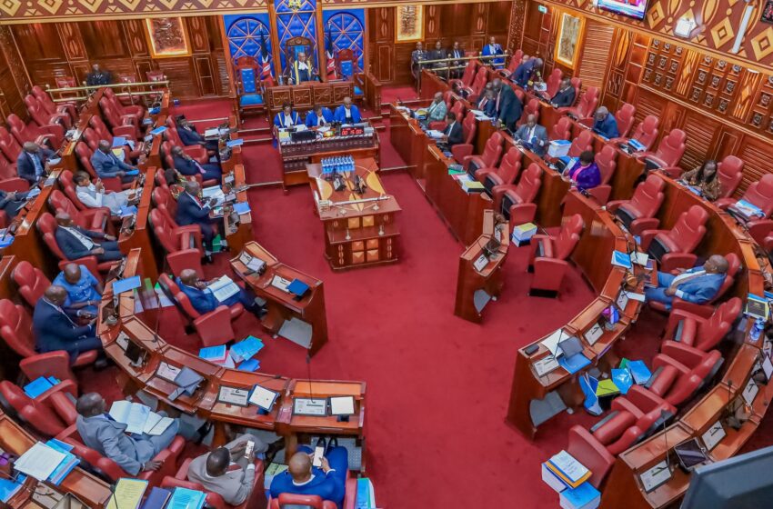  3 Big Reasons Miraa Legal Battle Is Tearing Senators Apart