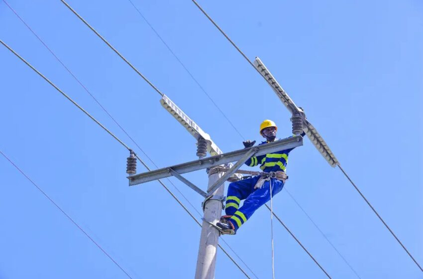  Why Protecting Birds Could Make Kenya Electricity More Reliable