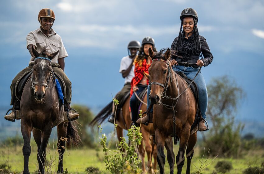  Inside Magical Kenya Expansion: Shifting from Traditional Tours to Digital Food Discovery