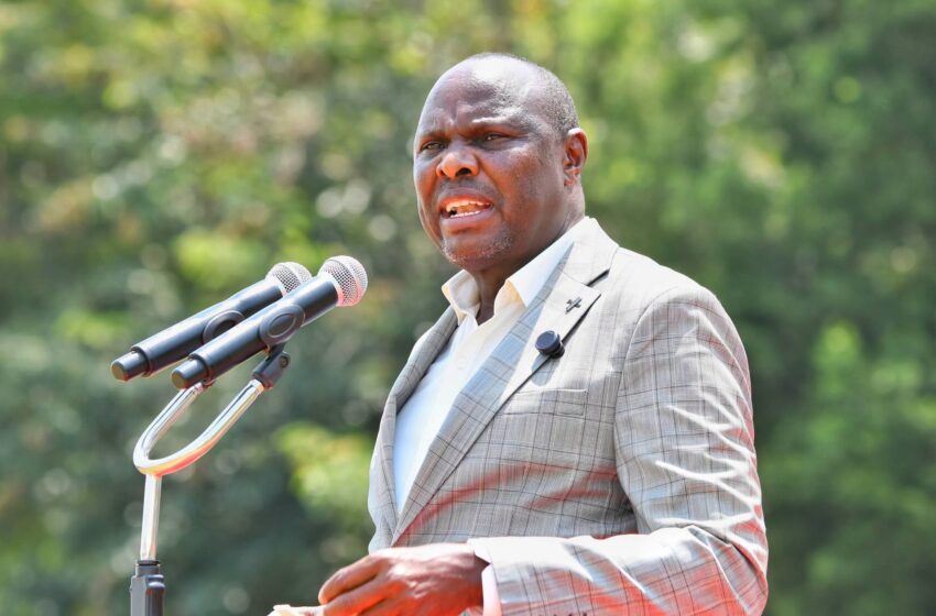  Government moves to build single system for detecting fake academic papers